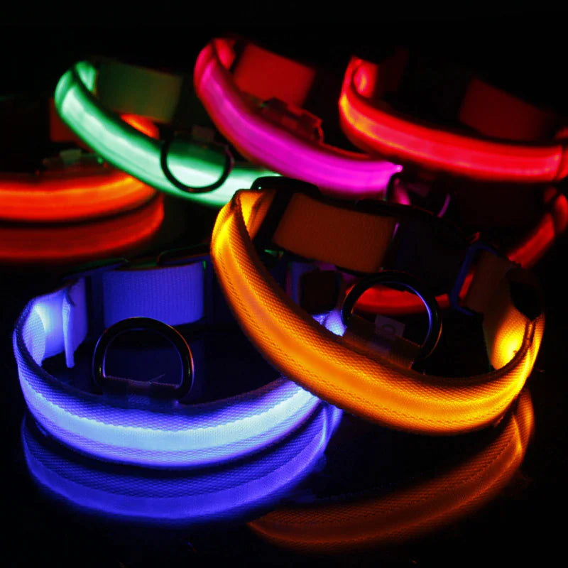 Brilliantly Safe, Uniquely Stylish: LED Collars for Your Dog