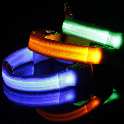 Brilliantly Safe, Uniquely Stylish: LED Collars for Your Dog