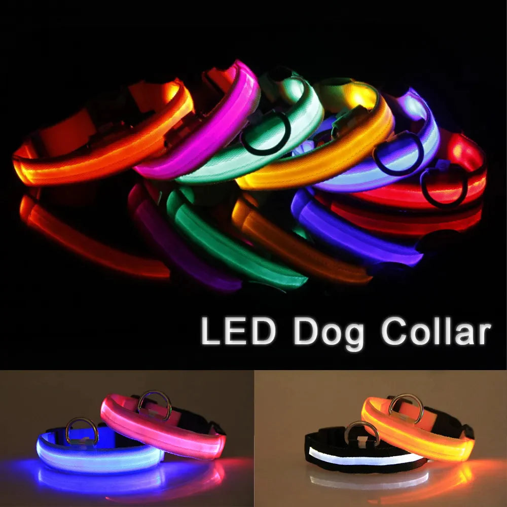 Brilliantly Safe, Uniquely Stylish: LED Collars for Your Dog