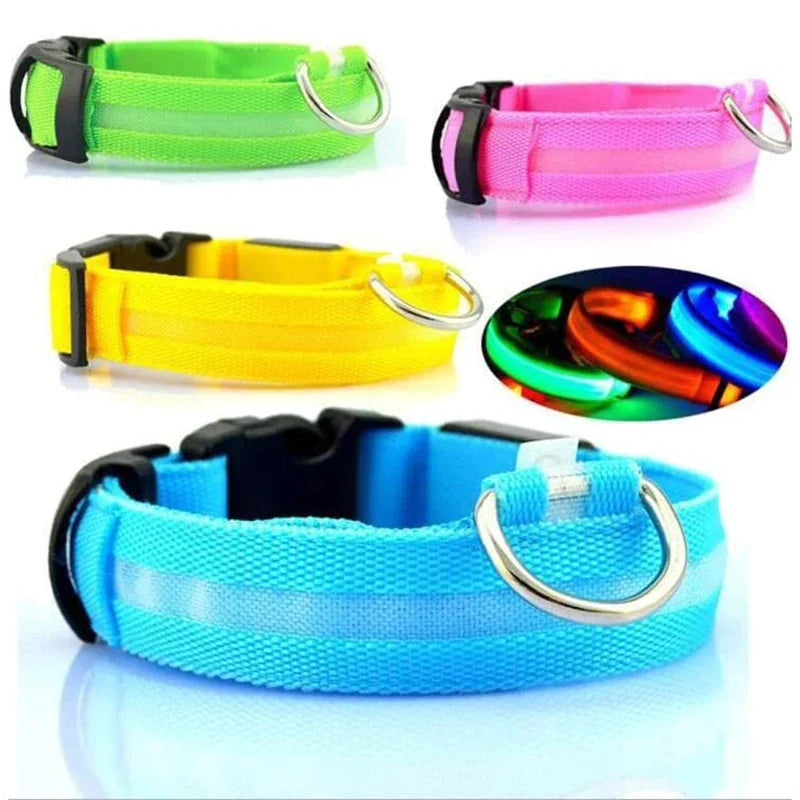 Brilliantly Safe, Uniquely Stylish: LED Collars for Your Dog