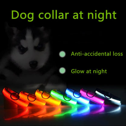 Brilliantly Safe, Uniquely Stylish: LED Collars for Your Dog