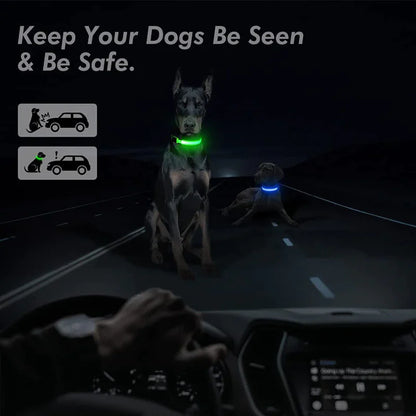 Brilliantly Safe, Uniquely Stylish: LED Collars for Your Dog