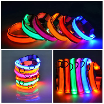 Brilliantly Safe, Uniquely Stylish: LED Collars for Your Dog