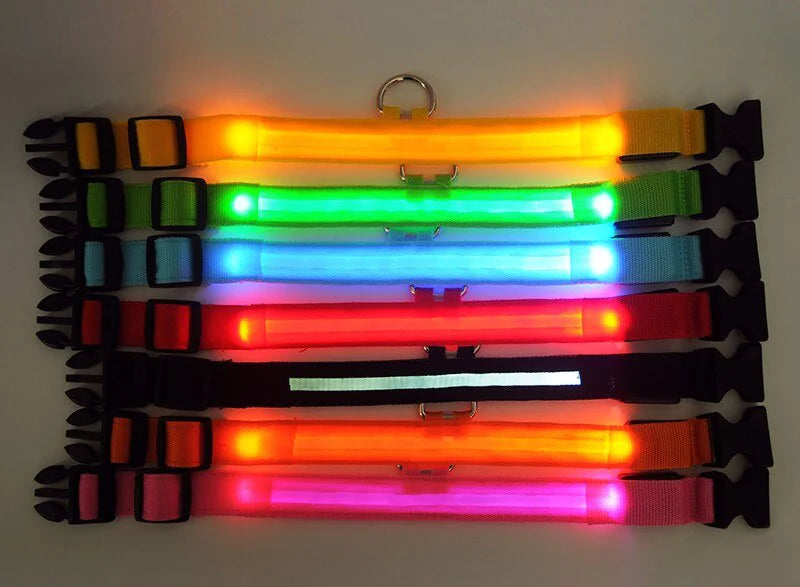 Brilliantly Safe, Uniquely Stylish: LED Collars for Your Dog