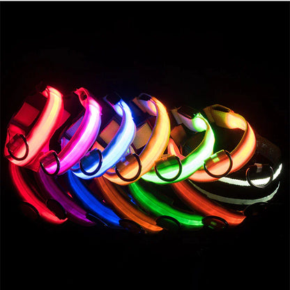 Brilliantly Safe, Uniquely Stylish: LED Collars for Your Dog