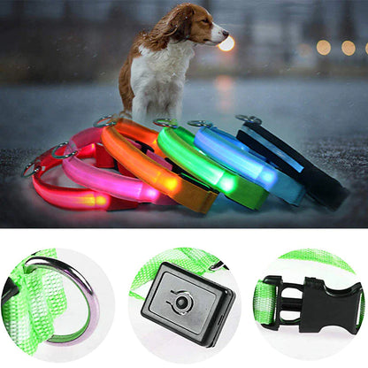 Brilliantly Safe, Uniquely Stylish: LED Collars for Your Dog