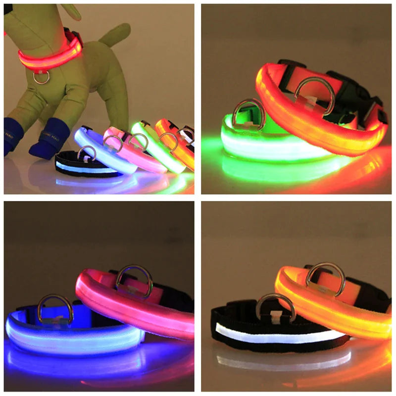 Brilliantly Safe, Uniquely Stylish: LED Collars for Your Dog