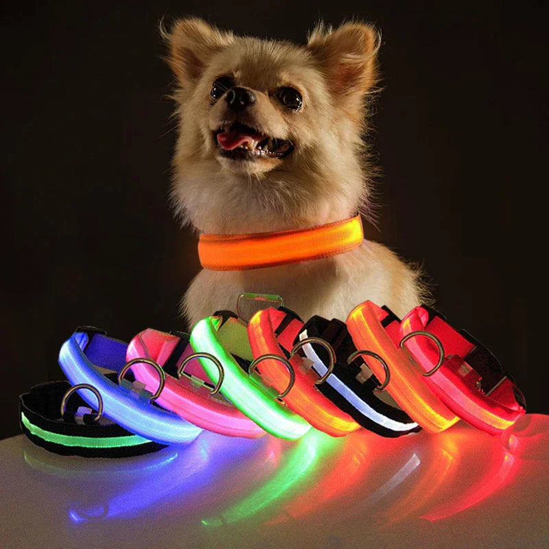 Brilliantly Safe, Uniquely Stylish: LED Collars for Your Dog